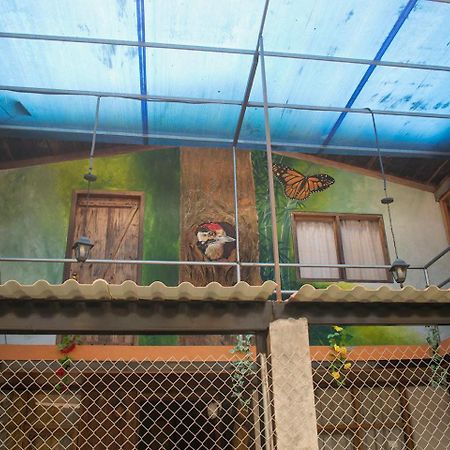 Hostal Los Farolitos Mindo Kültér fotó